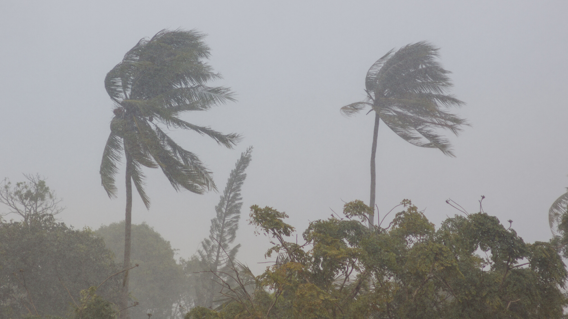 Encouragement In The Storm