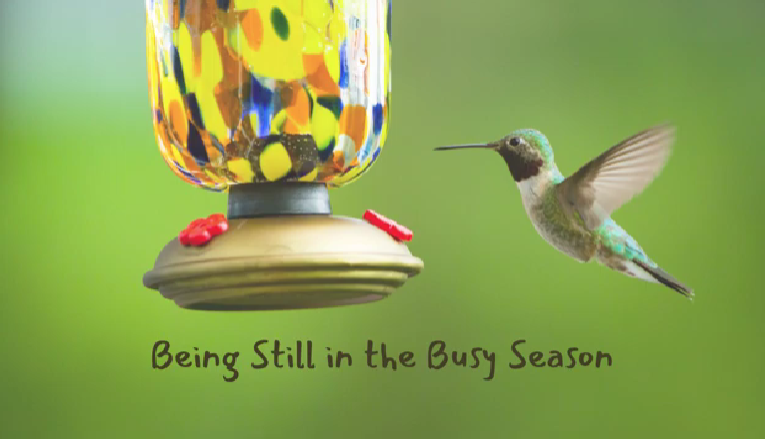 Being Still in the Busy Seasons